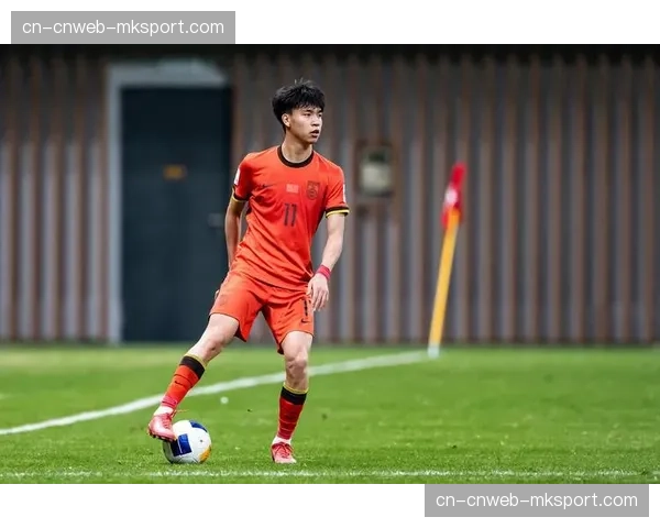 吴少聪伤情复杂归期未定，林良铭状态起伏不定